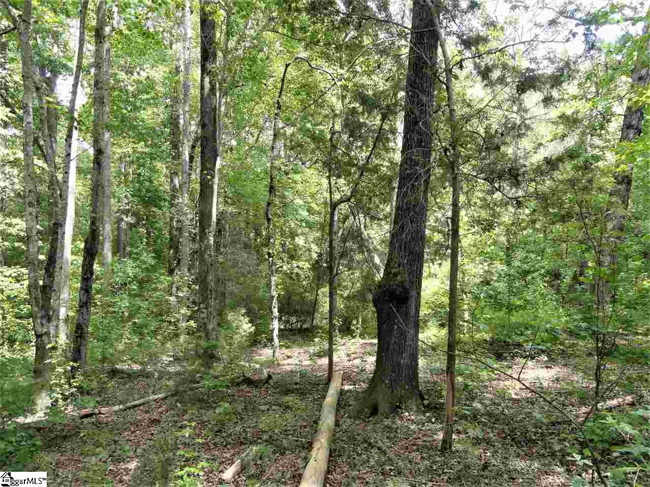 151 Clement Drive Inman, SC 29349 - Photo 5 of 20