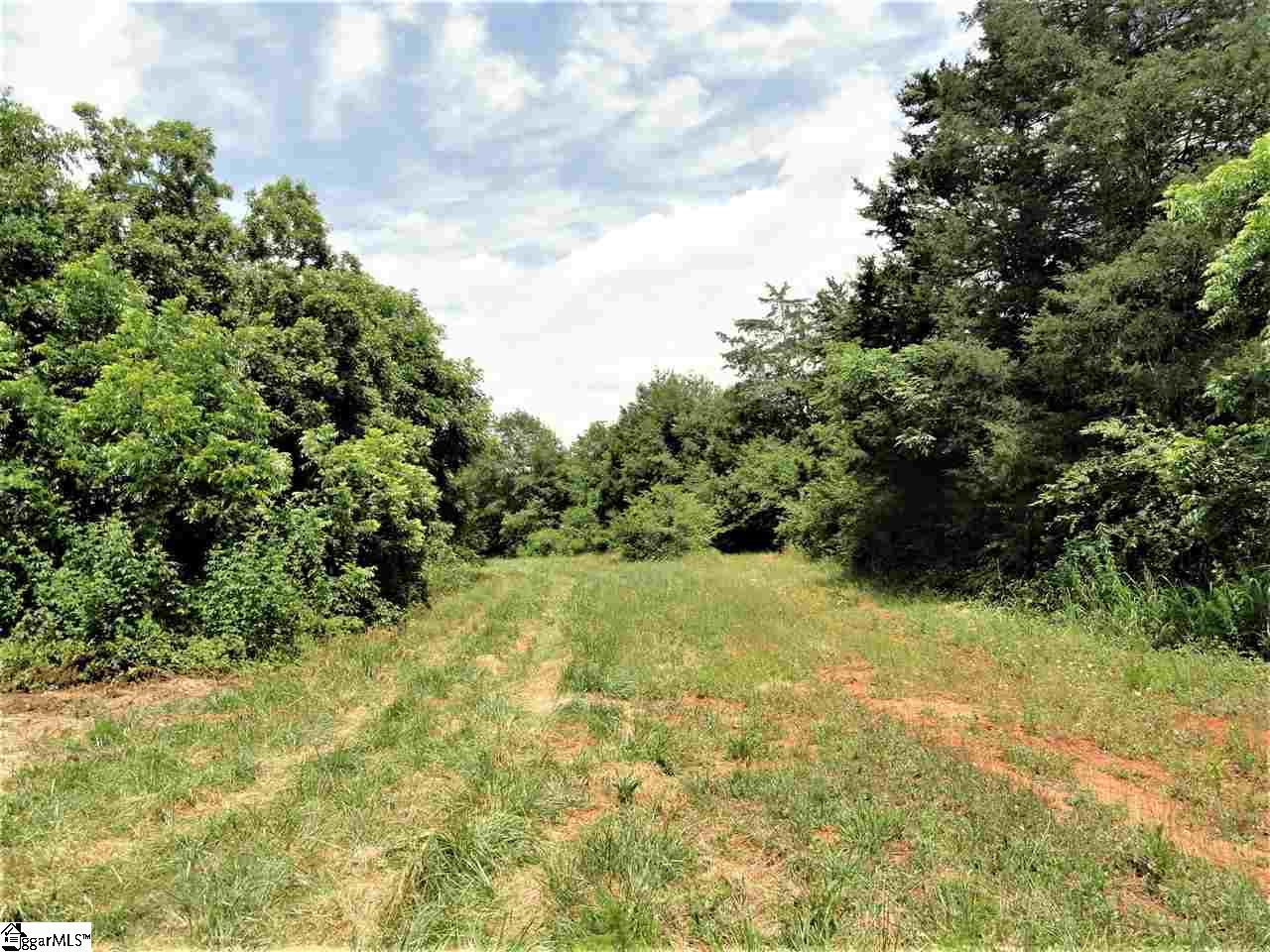 151 Clement Drive Inman, SC 29349 - Photo 8 of 20