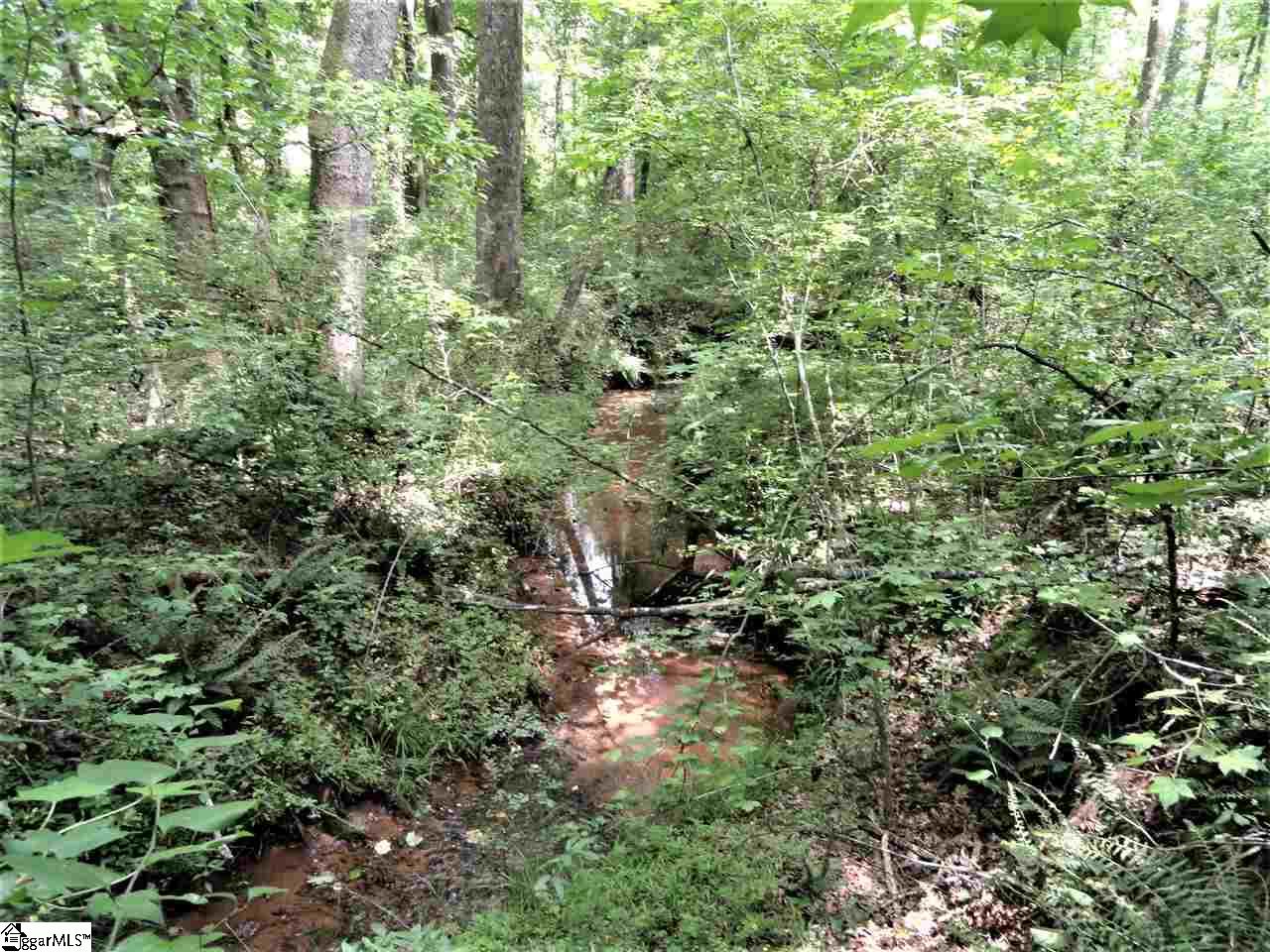 151 Clement Drive Inman, SC 29349 - Photo 10 of 20