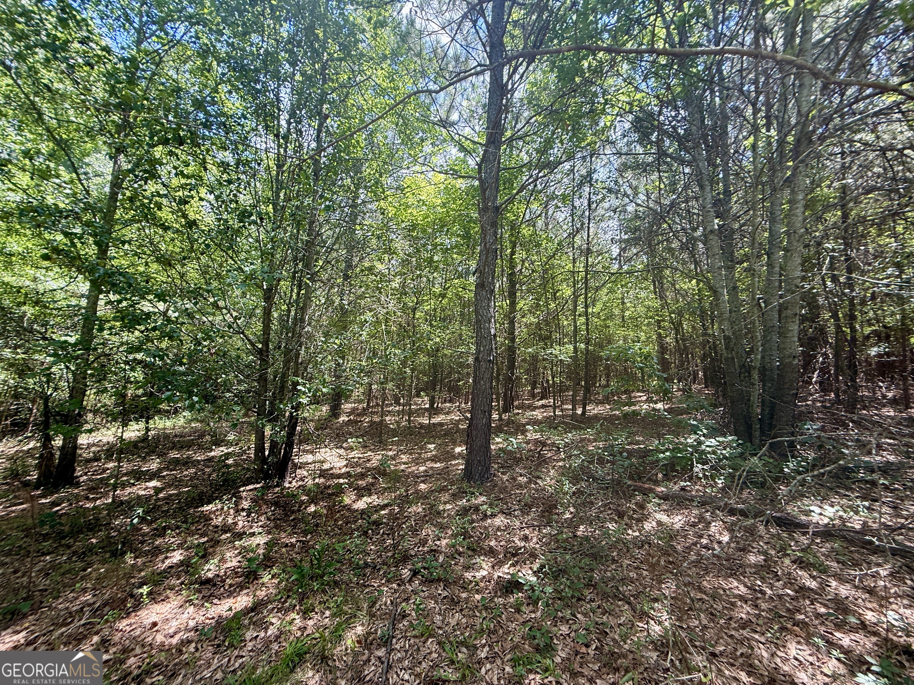 14.21-acres Northwest Irwin Bridge Road Northwest Conyers, GA 30012 - Photo 4 of 12
