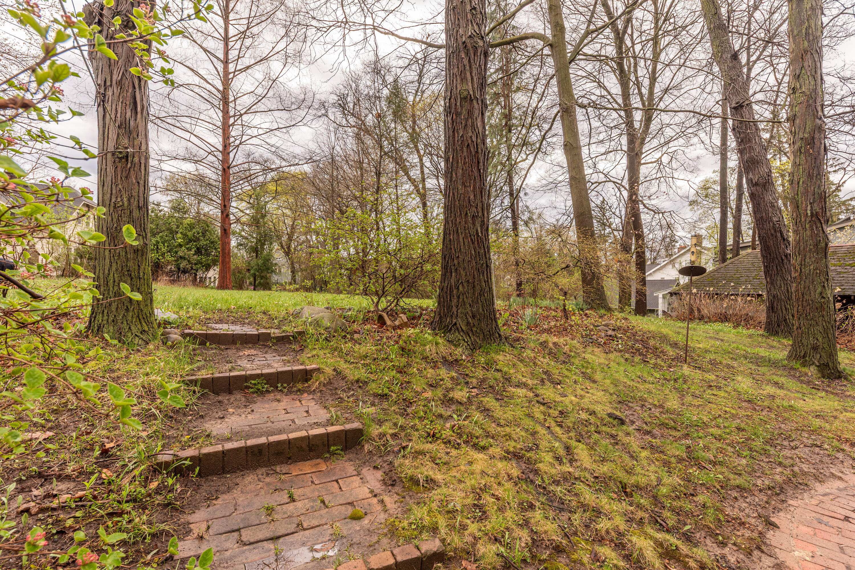 1930 Cambridge Road Ann Arbor, MI 48104 - Photo 52 of 59 Backyard