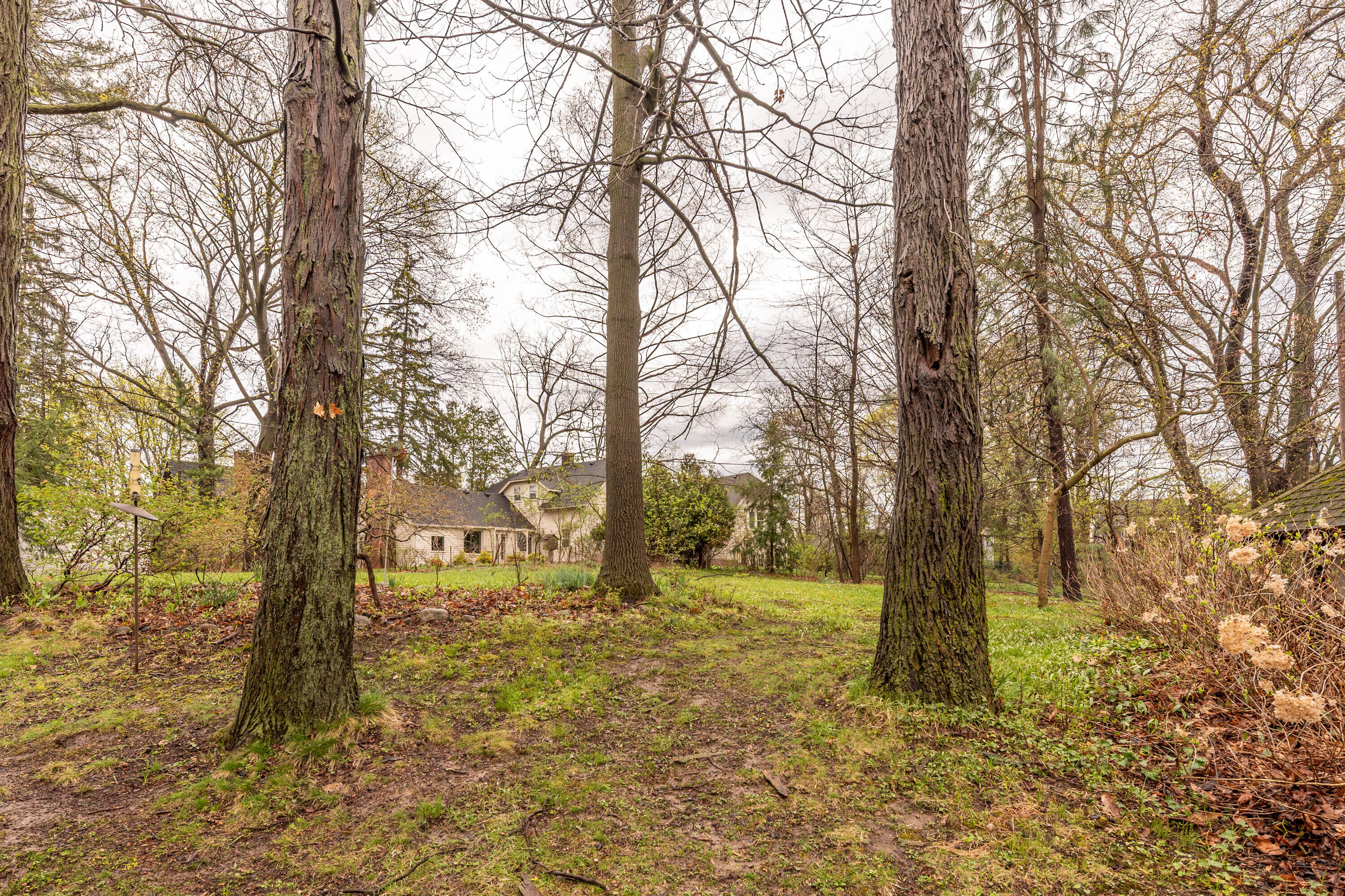 1930 Cambridge Road Ann Arbor, MI 48104 - Photo 53 of 59 Backyard