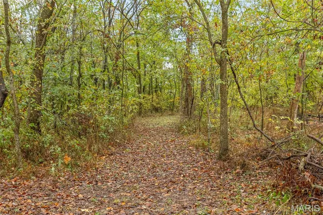 $224,400 | 2920 Highway 221, Doe Run, MO 63637