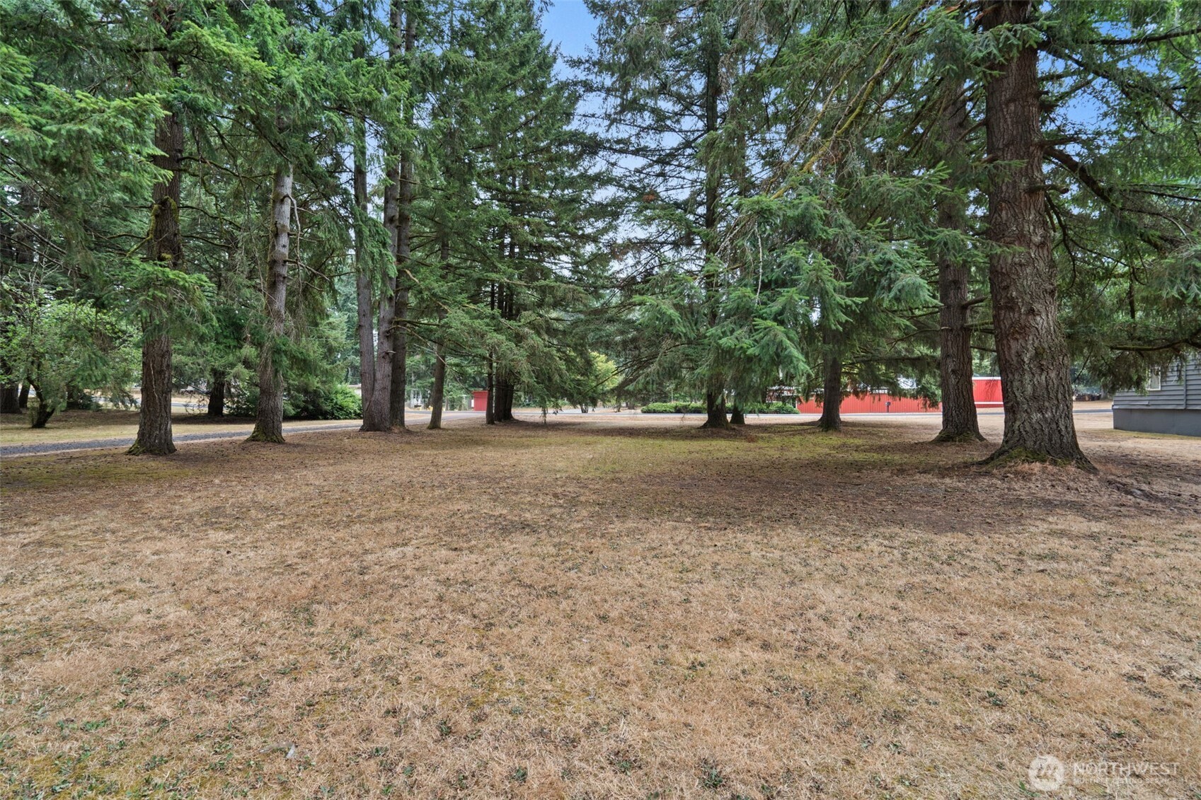 19121 Elderberry Street Southwest Rochester, WA 98579 - Photo 3 of 34 Gallery Image 3