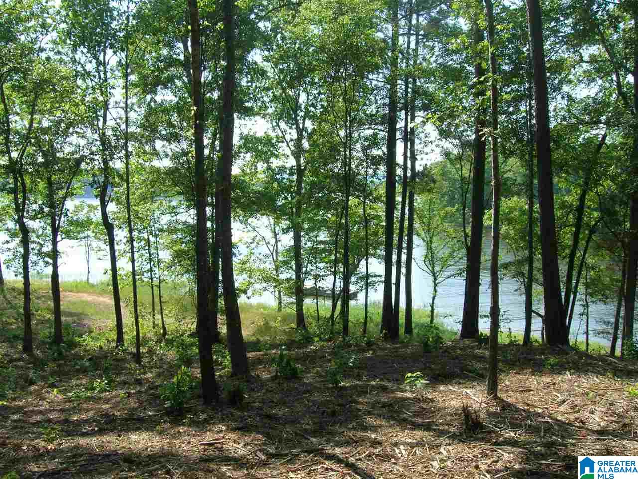 Stillwaters Trail Sylacauga, AL 35151 - Photo 13 of 30