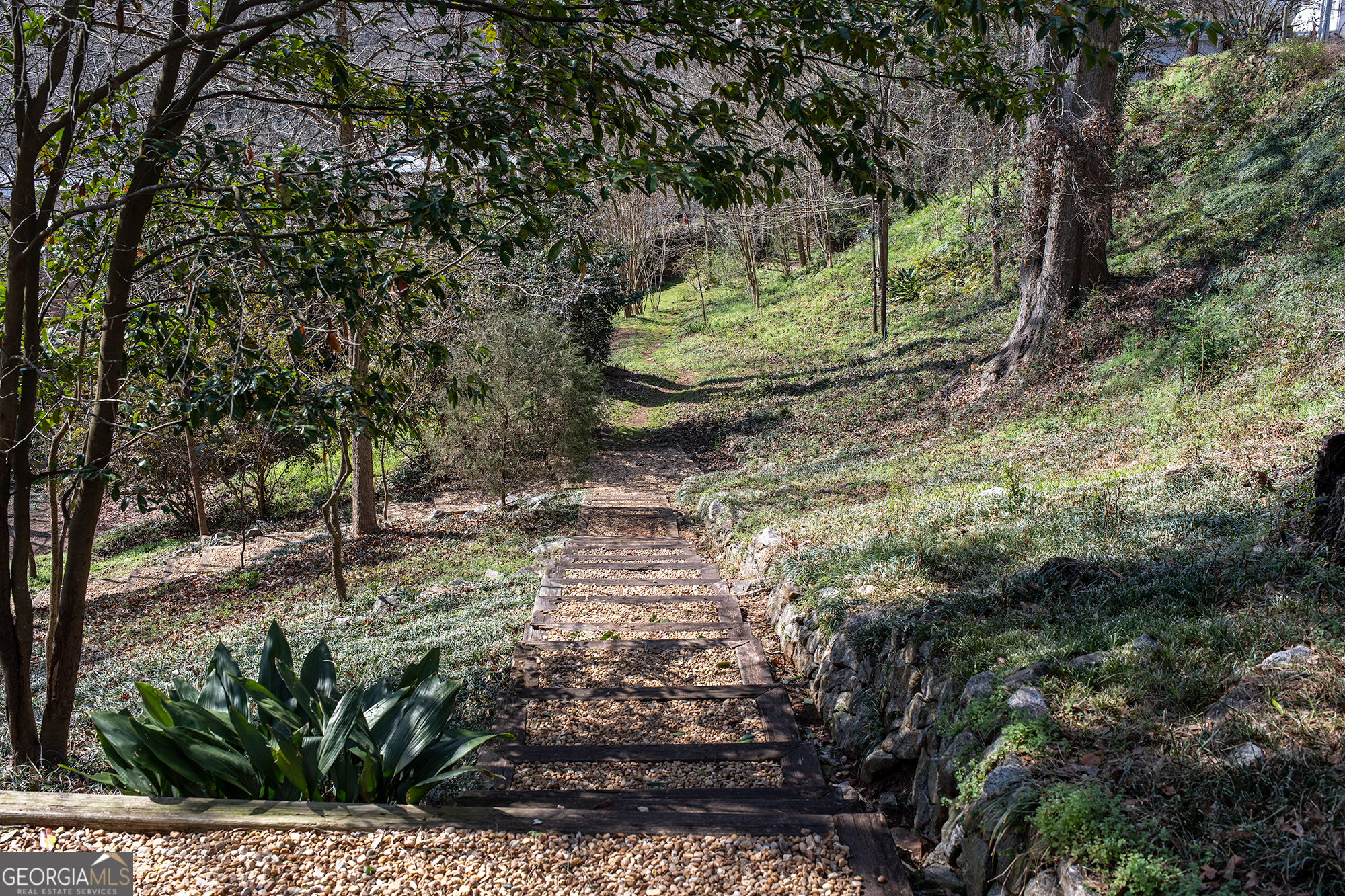 585 White Circle, Unit 509 Athens, GA 30605 - Photo 35 of 42 a view of a forest with large trees