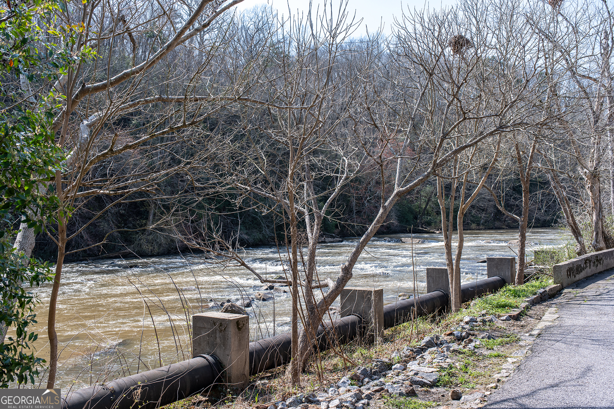 585 White Circle, Unit 509 Athens, GA 30605 - Photo 36 of 42 a view of a backyard