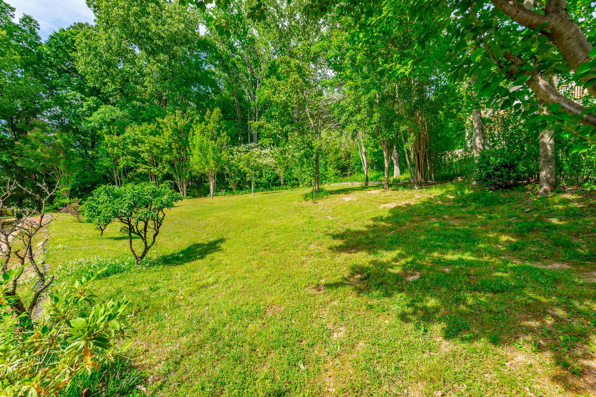 6731 Jordan Run Road Chattanooga, TN 37412 - Photo 109 of 156 6731 Jordan Run Road HD-96