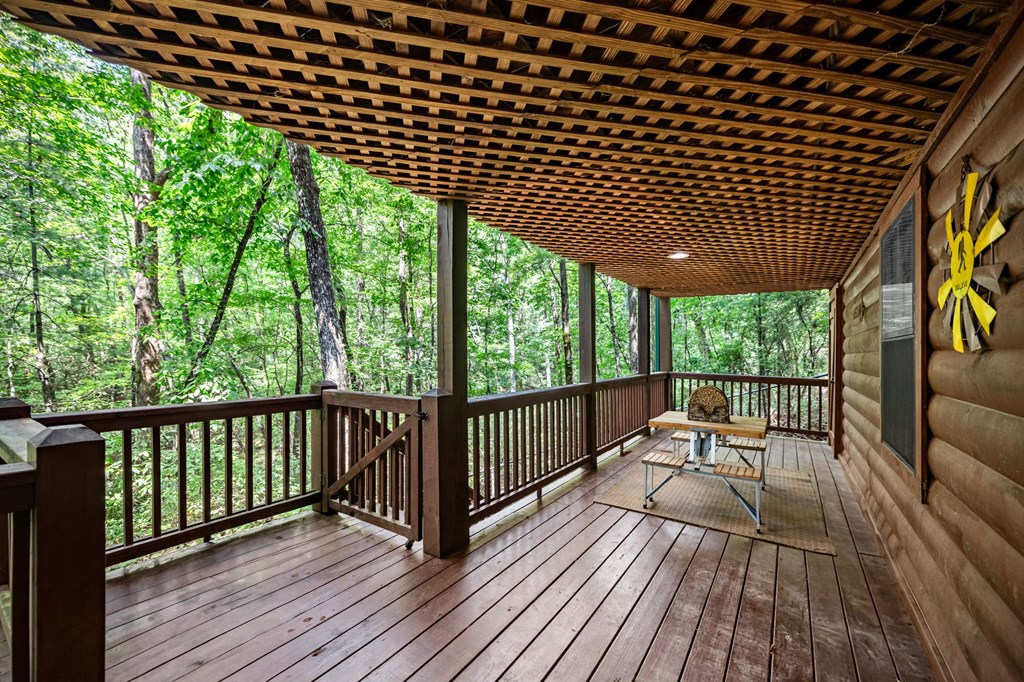 120 Tomahawk Blue Ridge Blue Ridge, GA 30513 - Photo 12 of 56 Gallery Image 12