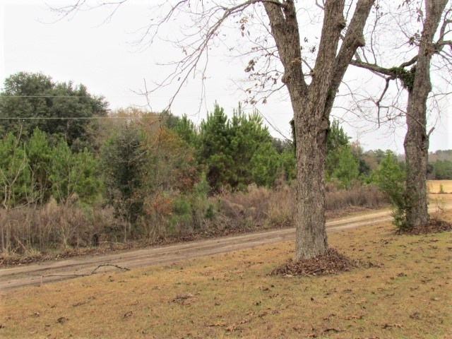 3011 Green Branch Road Barnwell, SC 29812 - Photo 19 of 24