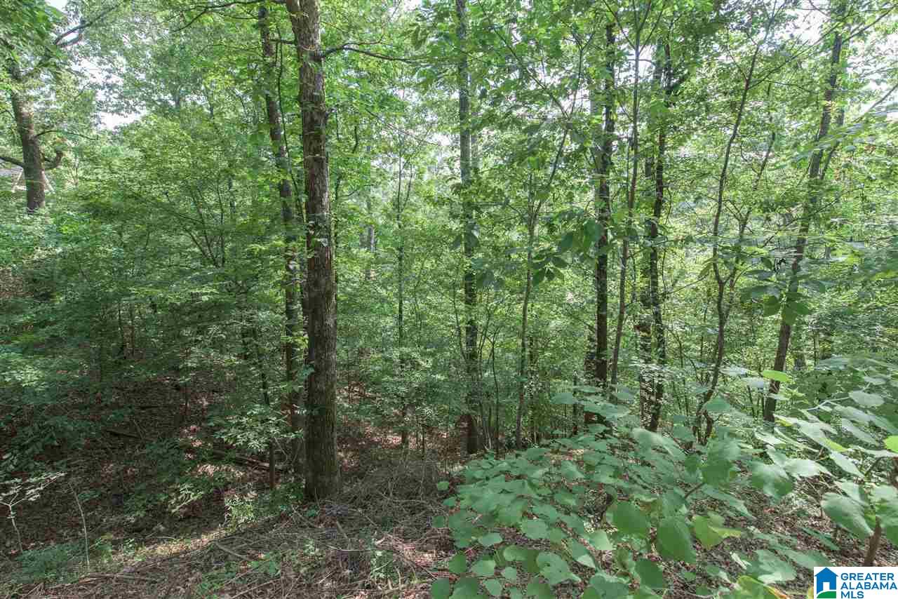 3341 Brookview Trace Birmingham, AL 35216 - Photo 31 of 32