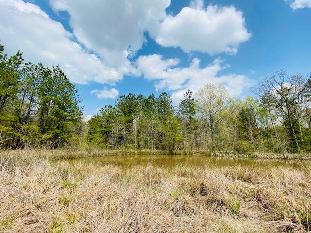 1286 Love Town Road Buffalo Junction, VA 24529 - Photo 21 of 24 Gallery Image 21