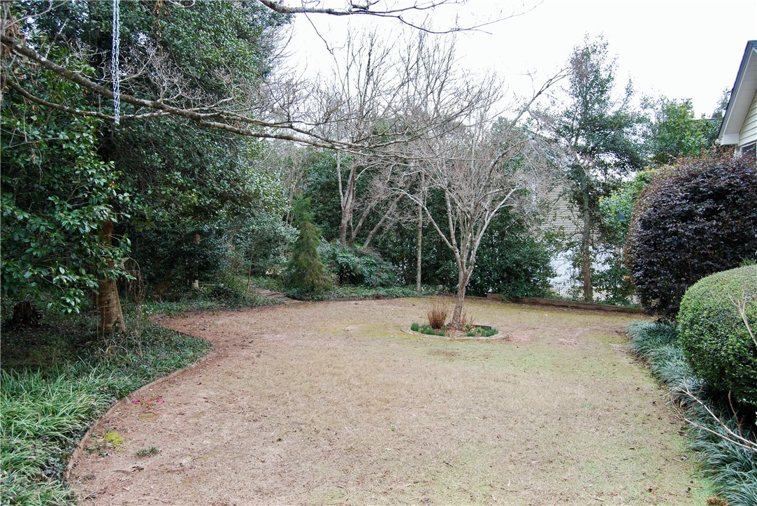 113 Ridgestone Drive Central, SC 29630 - Photo 29 of 30