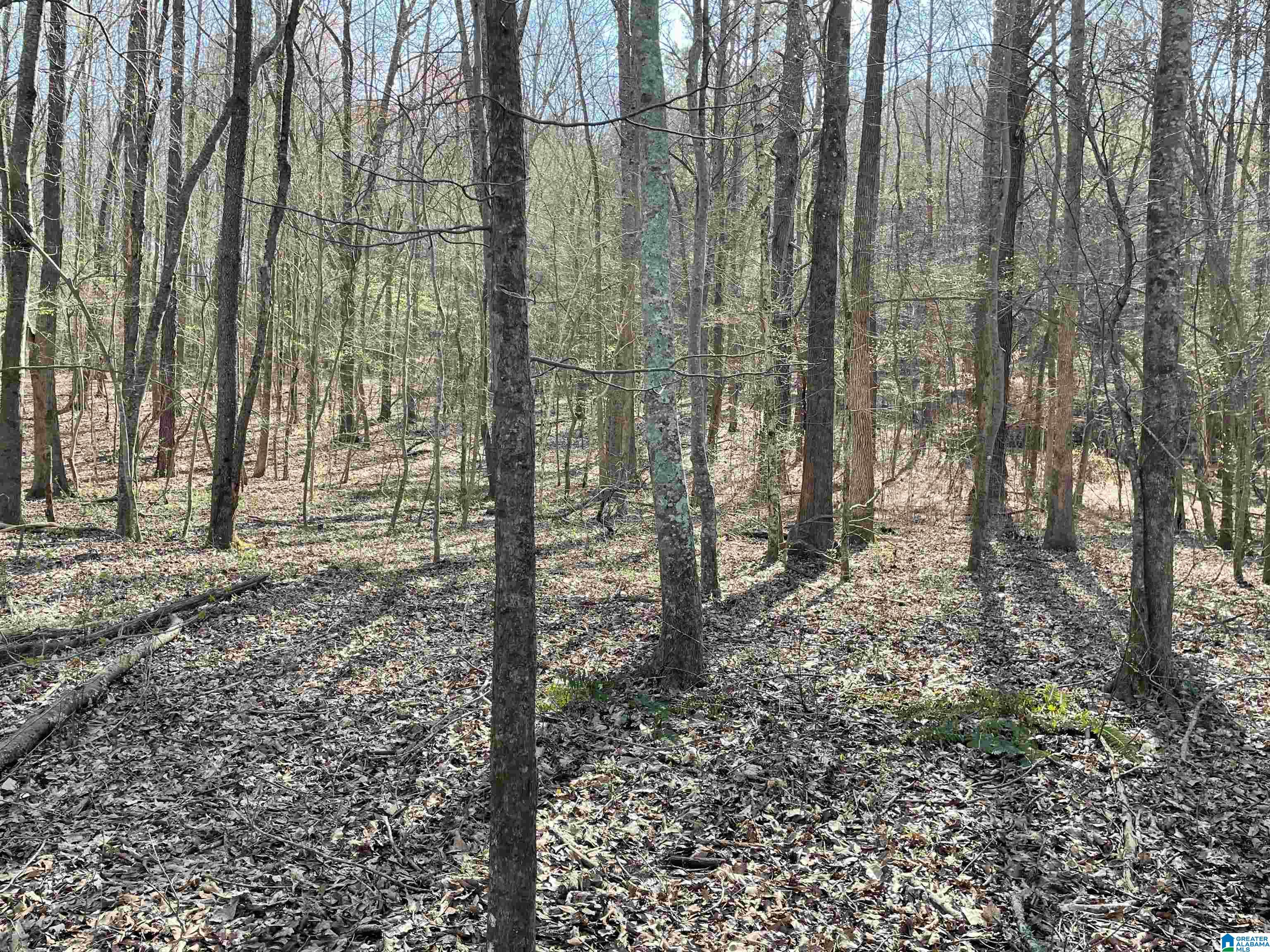 0 County Road 159, Unit 79 AC Heflin, AL 36264 - Photo 9 of 14