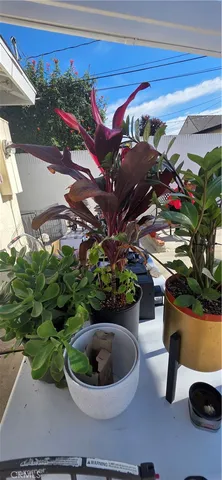 $3,995 | 1179 West 19th Street, San Pedro, CA 90731