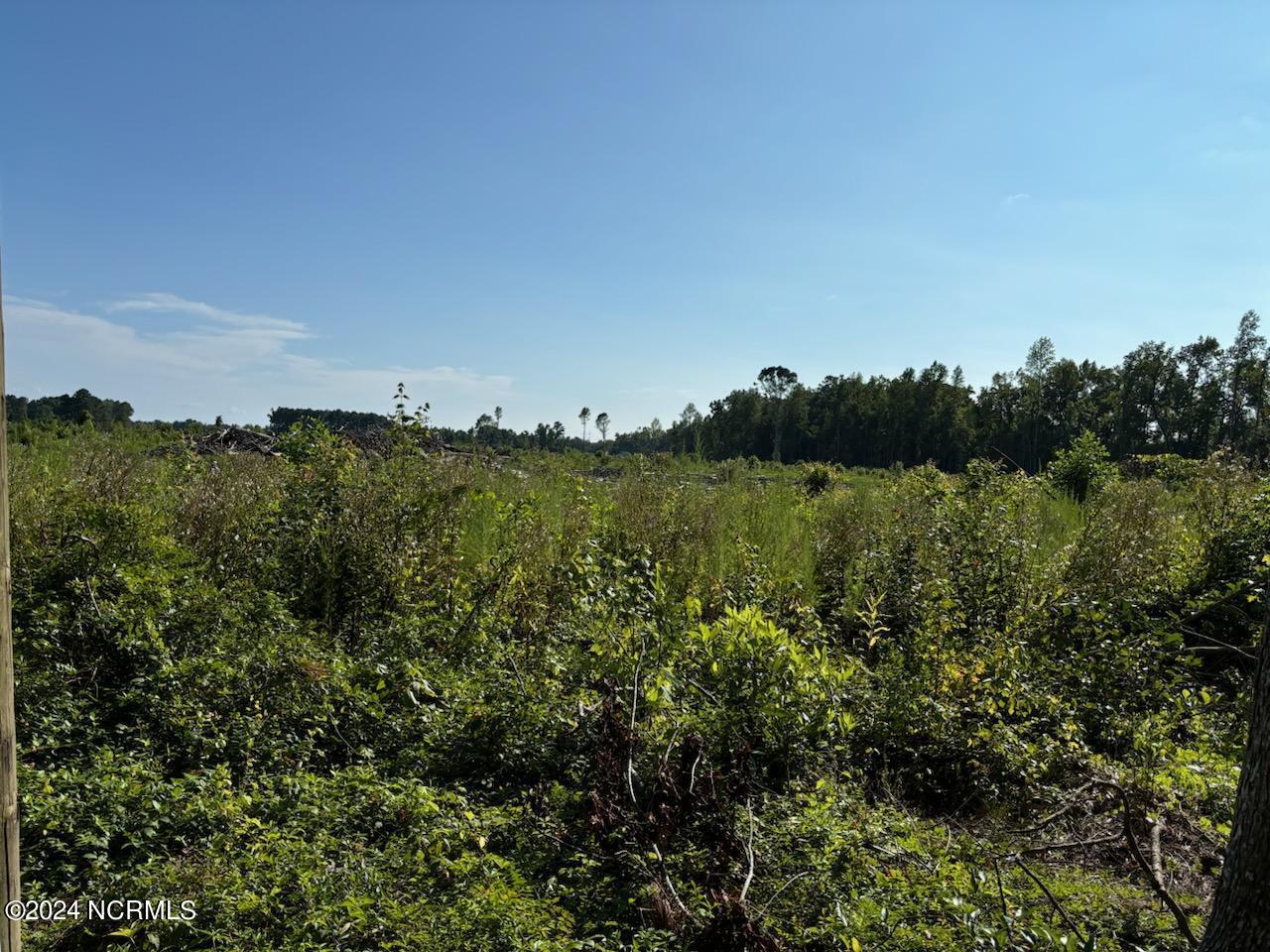 0 Crepe Myrtle Road Burgaw, NC 28425 - Photo 1 of 1 IMG950896
