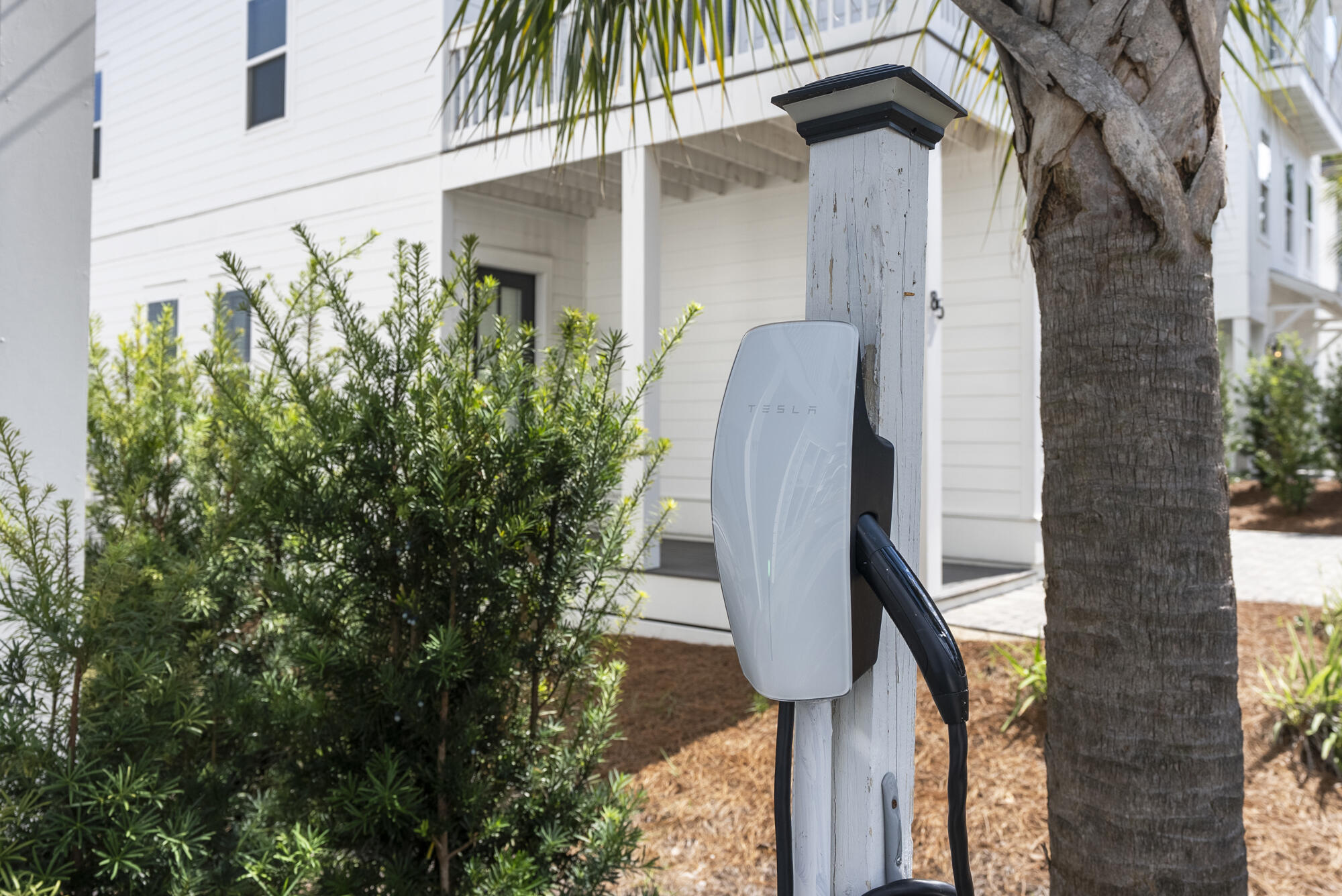 79 Beach View Drive Inlet Beach, FL 32461 - Photo 2 of 41 a view of a house with a tree