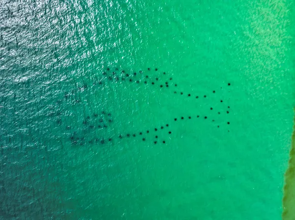 a view of a garden from a lake
