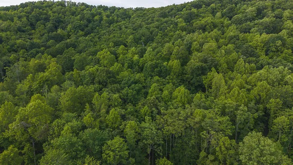 $47,000 | Lot 5 Shortcut Drive, Woolwine, VA 24185