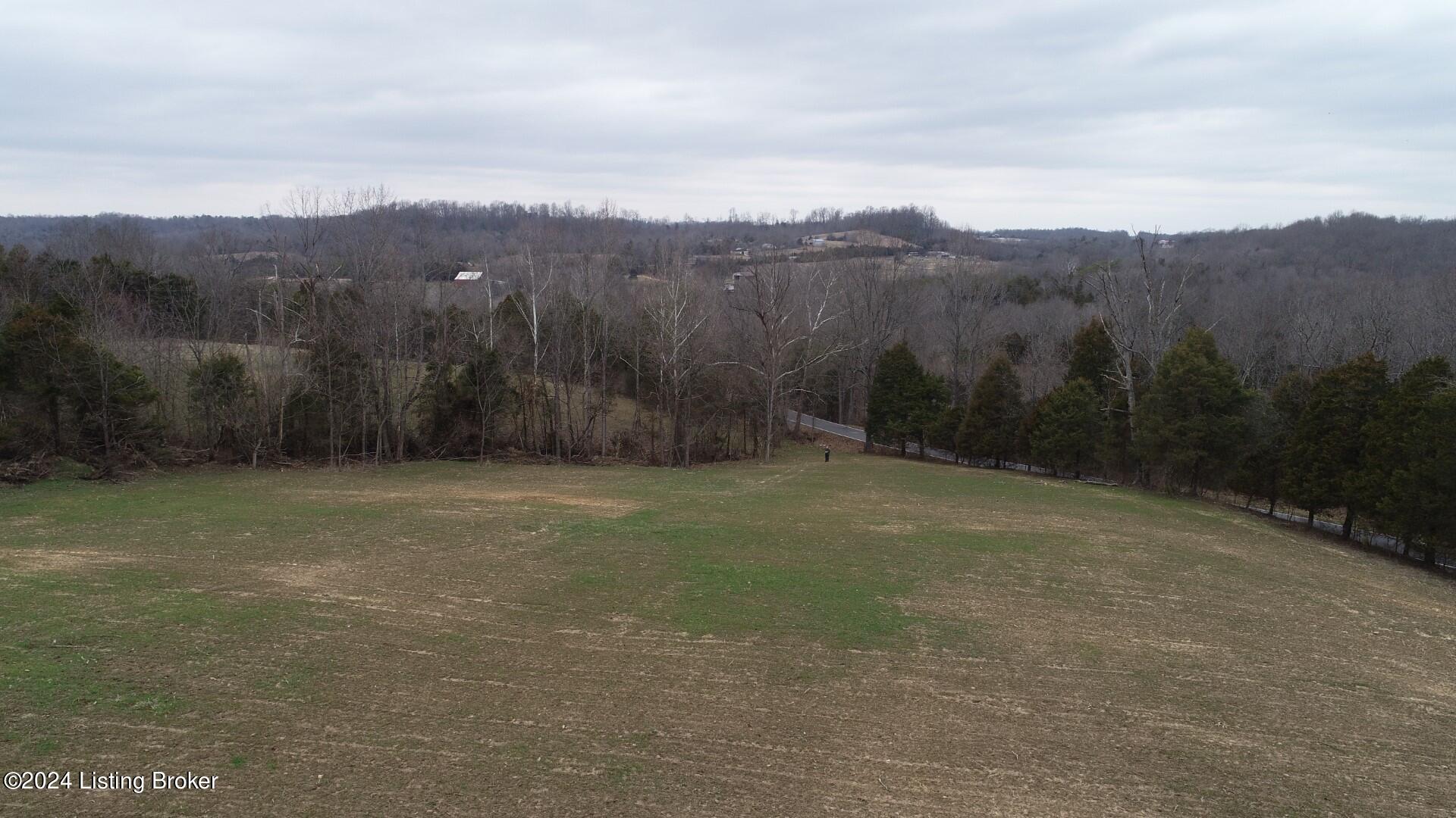 2 Lone Star Road Upton, KY 42784 - Photo 6 of 16 DJI_0071 (Large)