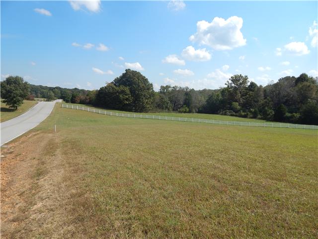 0 Hall Cemetery Road, Unit 6 Burns, TN 37029 - Photo 1 of 6 Gallery Image 1