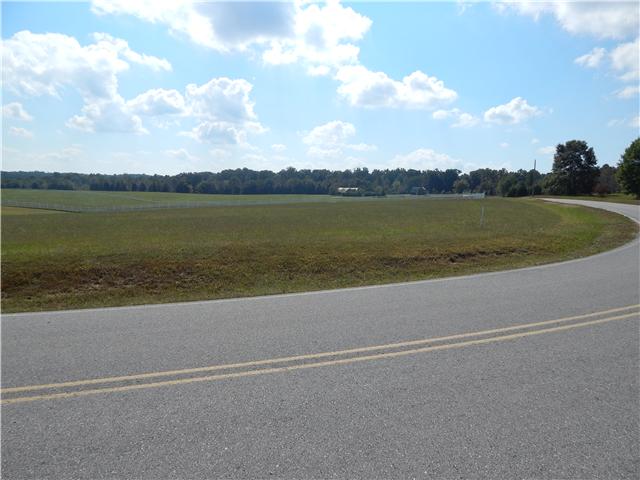 0 Hall Cemetery Road, Unit 6 Burns, TN 37029 - Photo 2 of 6 Gallery Image 2