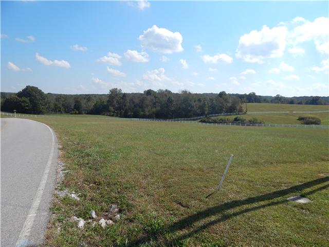 0 Hall Cemetery Road, Unit 6 Burns, TN 37029 - Photo 3 of 6 Gallery Image 3