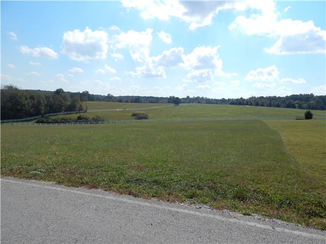 0 Hall Cemetery Road, Unit 6 Burns, TN 37029 - Photo 4 of 6 Gallery Image 4