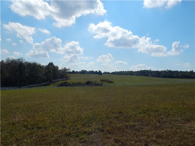 0 Hall Cemetery Road, Unit 6 Burns, TN 37029 - Photo 5 of 6 Gallery Image 5