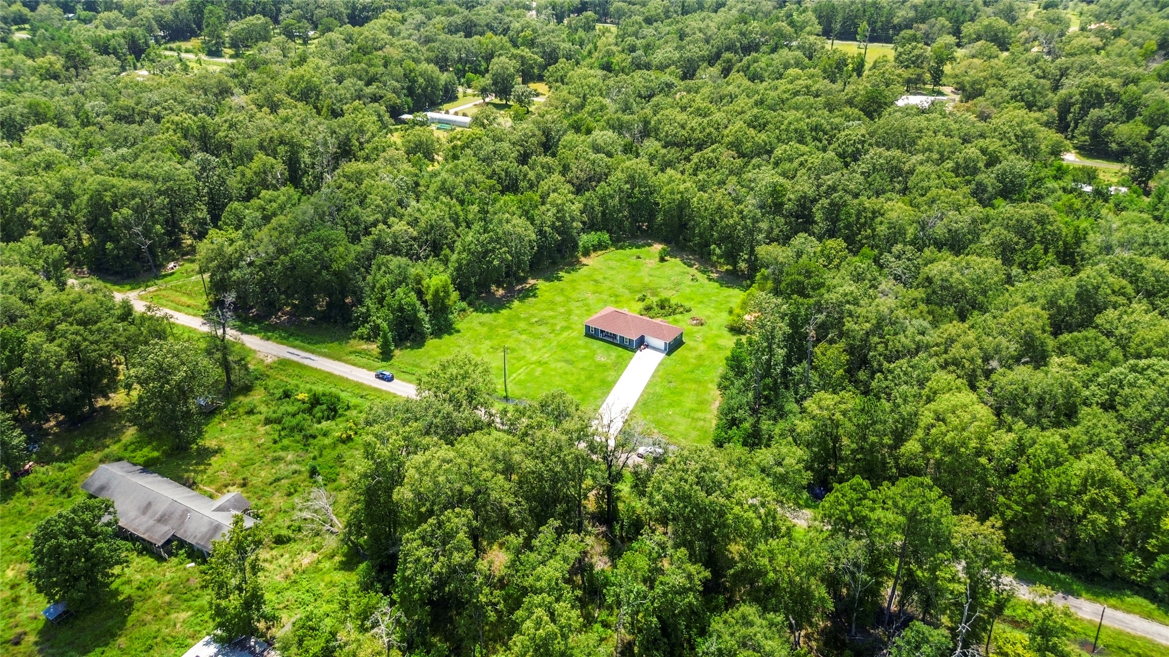 1545 County Road 2145 Cleveland, TX 77327 - Photo 21 of 22 a close up of a plant in a garden