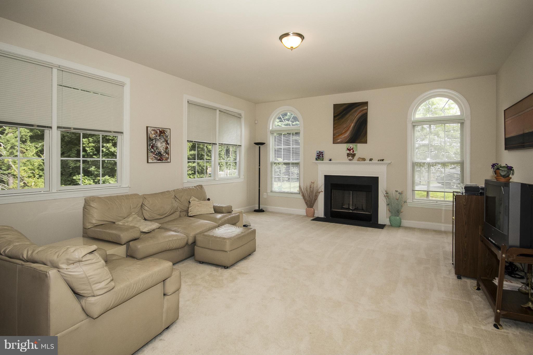 12402 Timber Grove Road Owings Mills, MD 21117 - Photo 17 of 30 Family Room
