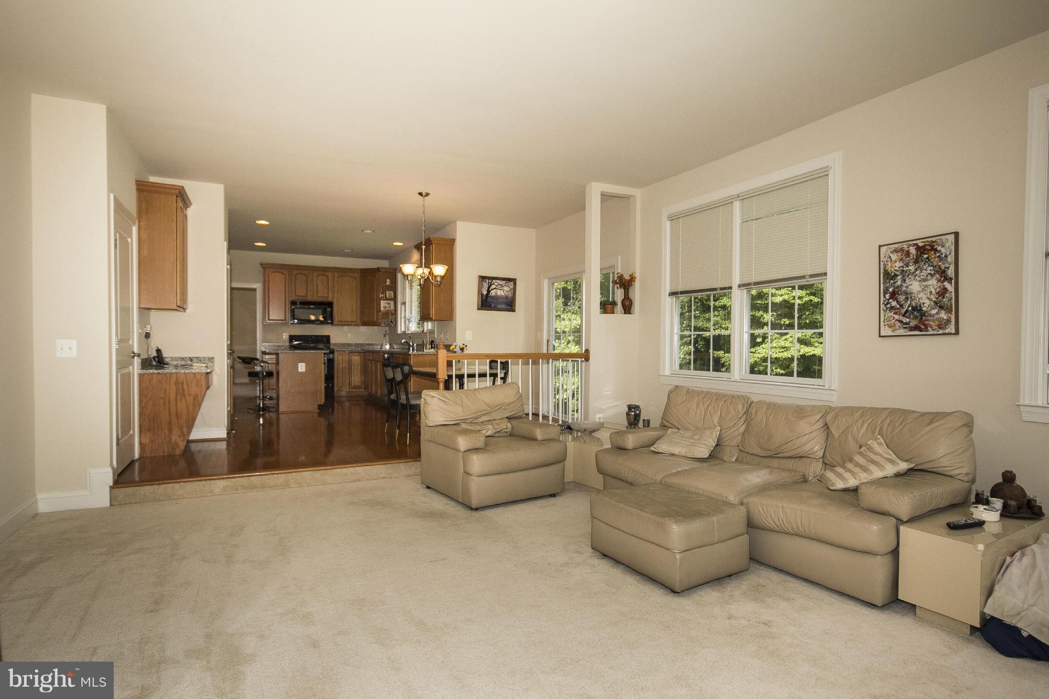 12402 Timber Grove Road Owings Mills, MD 21117 - Photo 18 of 30 Family Room2