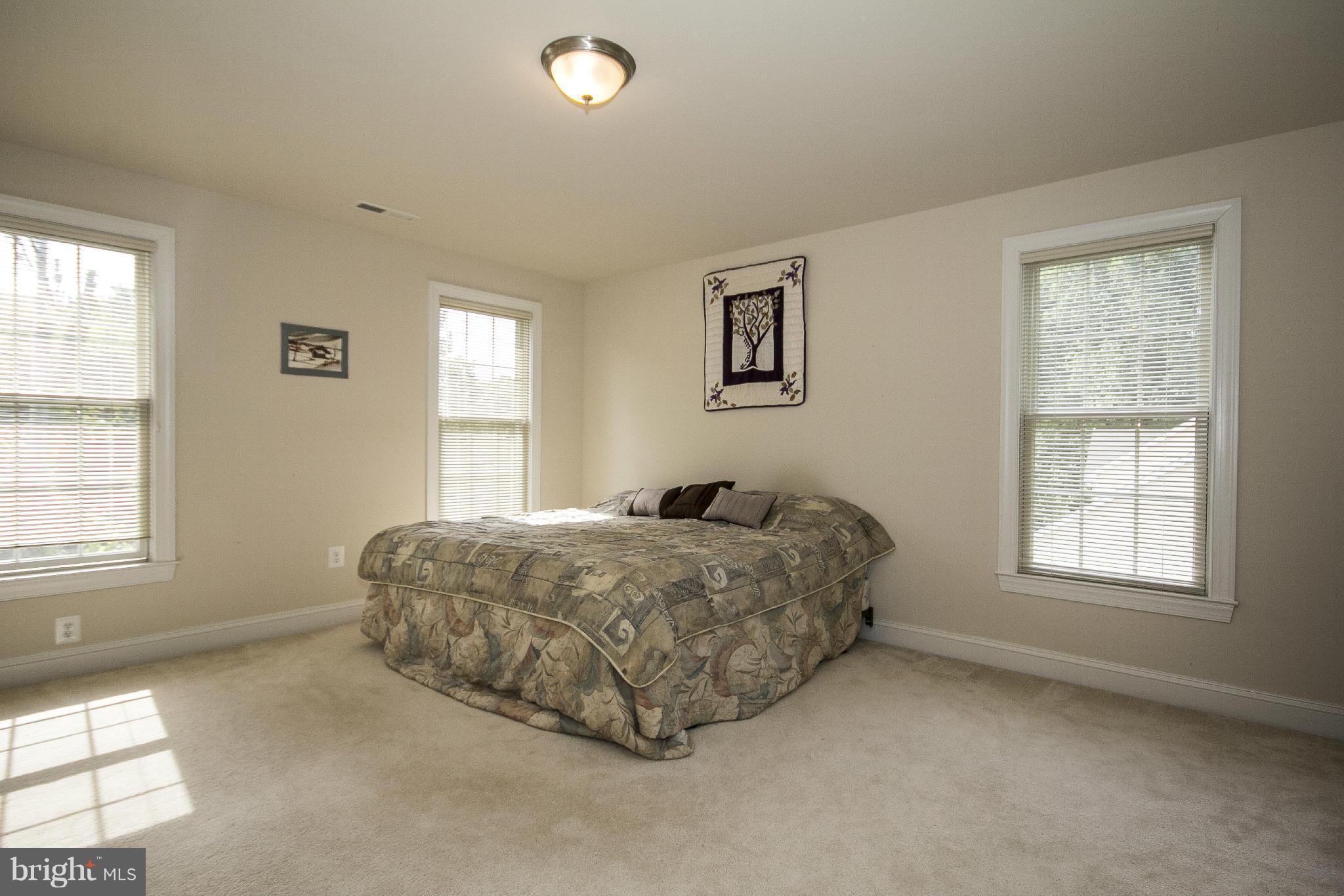12402 Timber Grove Road Owings Mills, MD 21117 - Photo 19 of 30 Master Bedroom