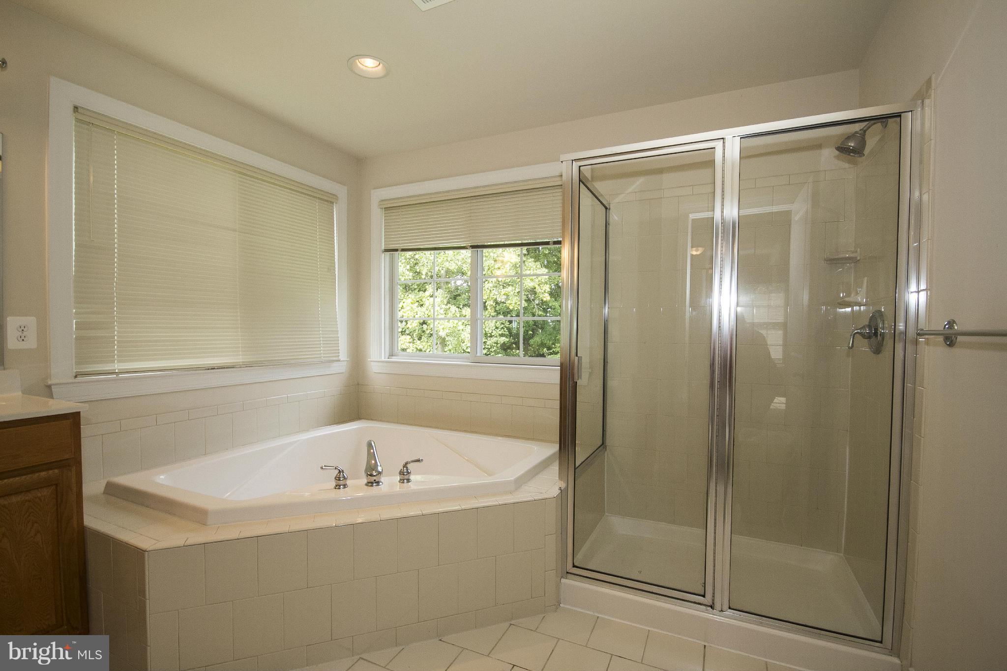12402 Timber Grove Road Owings Mills, MD 21117 - Photo 21 of 30 Master Bath
