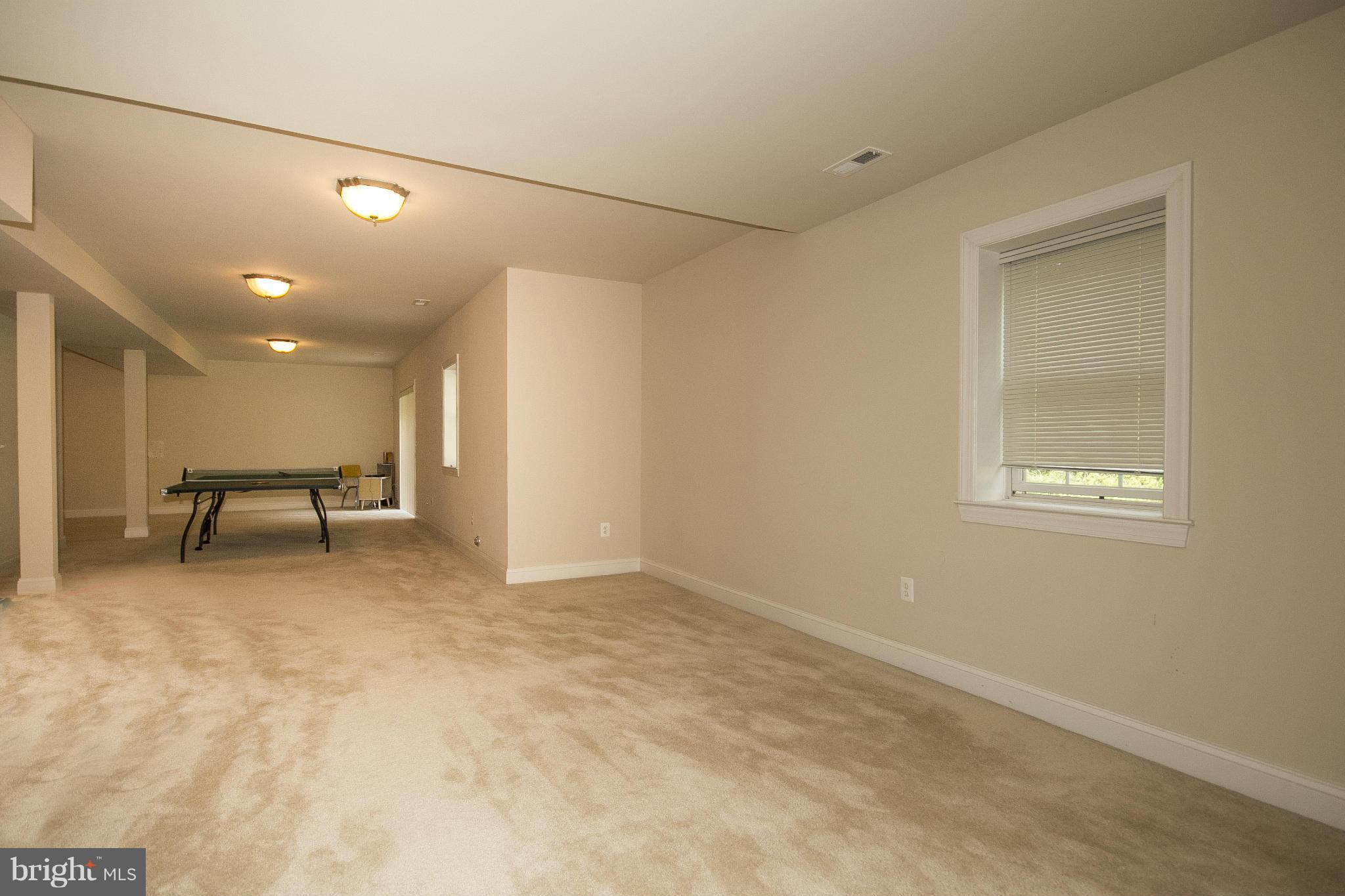 12402 Timber Grove Road Owings Mills, MD 21117 - Photo 28 of 30 Rec Room 2