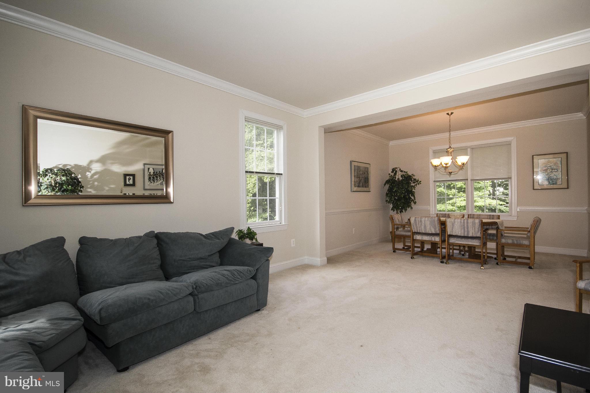 12402 Timber Grove Road Owings Mills, MD 21117 - Photo 6 of 30 LR DR