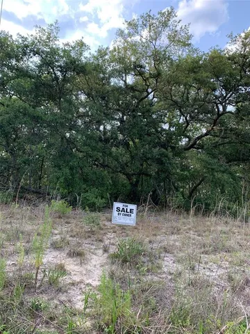 a sign board with tall trees