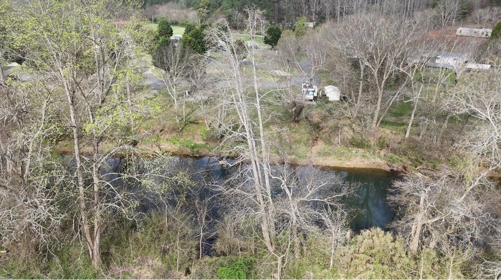11.87-ac Die Bend Road Murphy, NC 28906 - Photo 11 of 17 a view of a dry yard in a forest