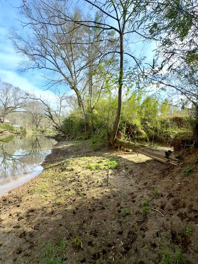 11.87-ac Die Bend Road Murphy, NC 28906 - Photo 16 of 17 a view of backyard of green space
