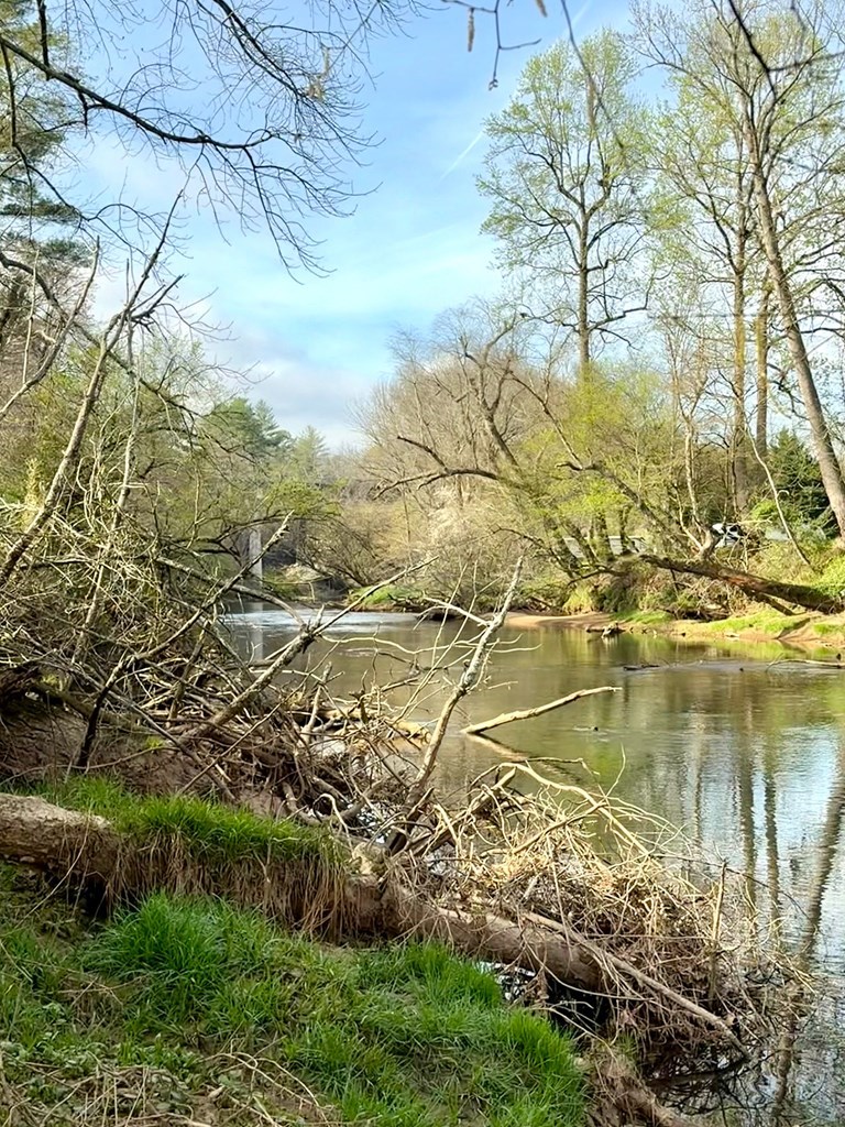 11.87-ac Die Bend Road Murphy, NC 28906 - Photo 17 of 17 a view of a lake with a yard