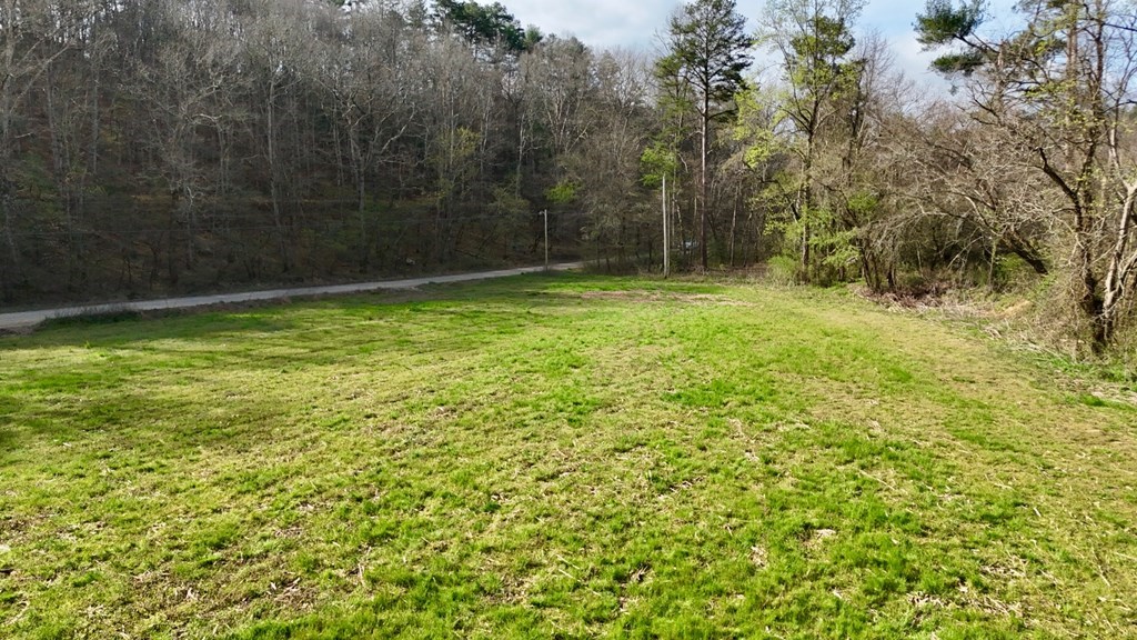 11.87-ac Die Bend Road Murphy, NC 28906 - Photo 5 of 17 a view of a yard