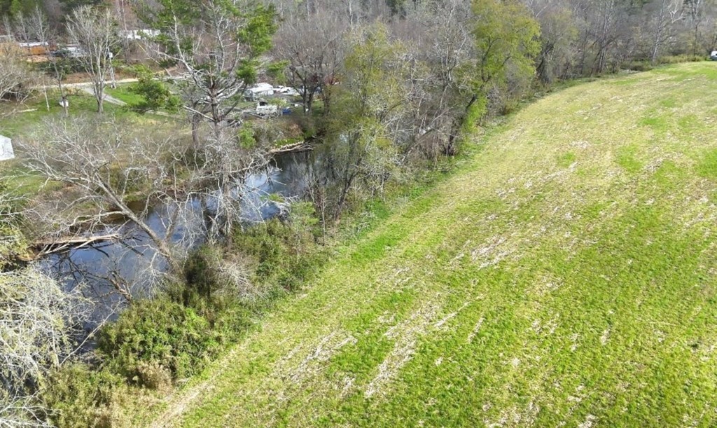 11.87-ac Die Bend Road Murphy, NC 28906 - Photo 6 of 17 a view of a garden