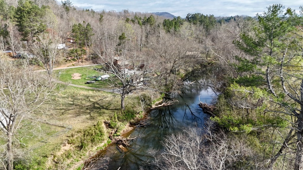 11.87-ac Die Bend Road Murphy, NC 28906 - Photo 10 of 17 a view of a yard with a tree