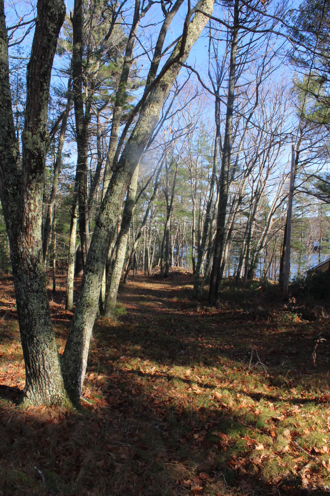 0 Adams Road Brunswick, ME 04011 - Photo 17 of 19 2361