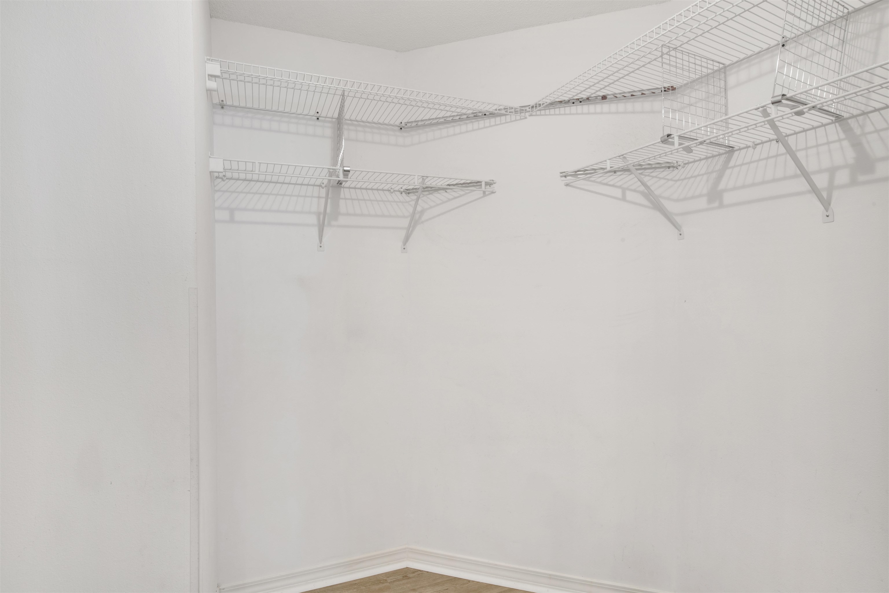 2572 Manuel Drive Lillian, AL 36549 - Photo 21 of 40 Walk In Closets