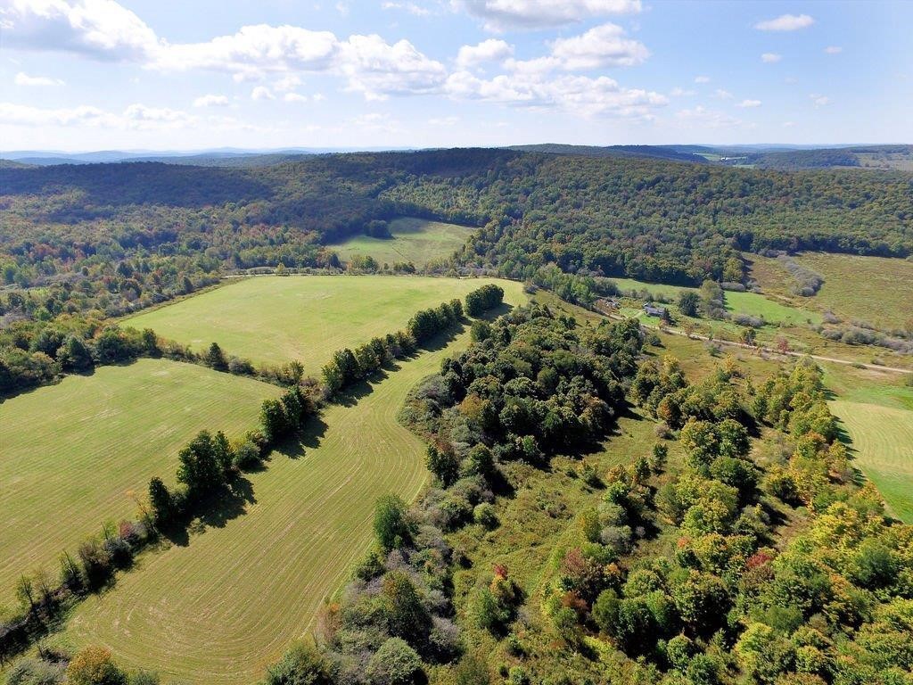 Lot 6 Warren Road Meredith, NY 13753 - Photo 8 of 15 Gallery Image 8