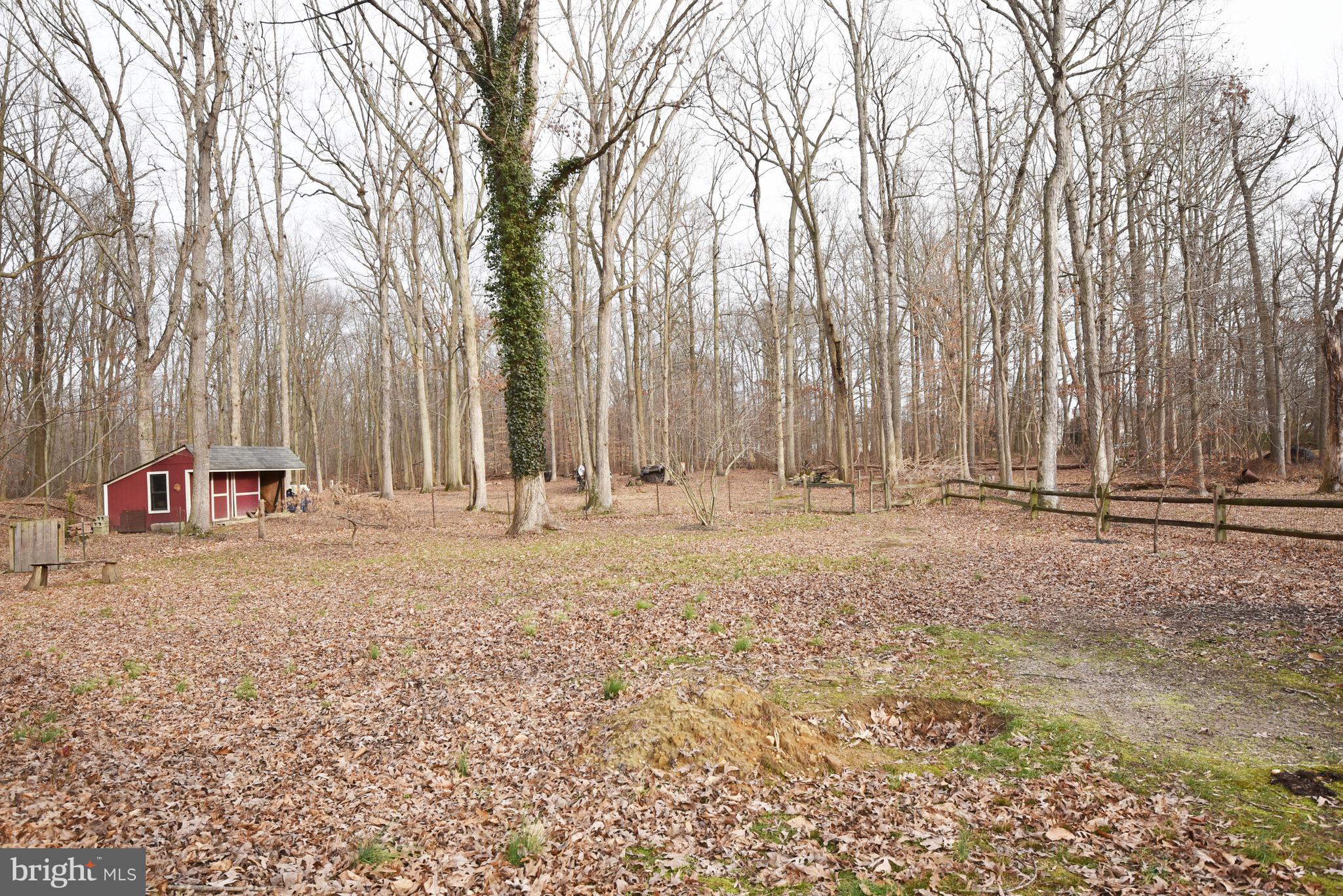 933 Woods Road Bear, DE 19701 - Photo 25 of 27 1.24 Acres - partially fenced in