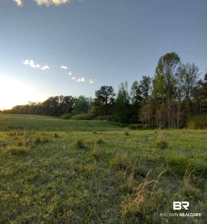 Halls Crossroads Road Monroeville, AL 36460 - Photo 2 of 3