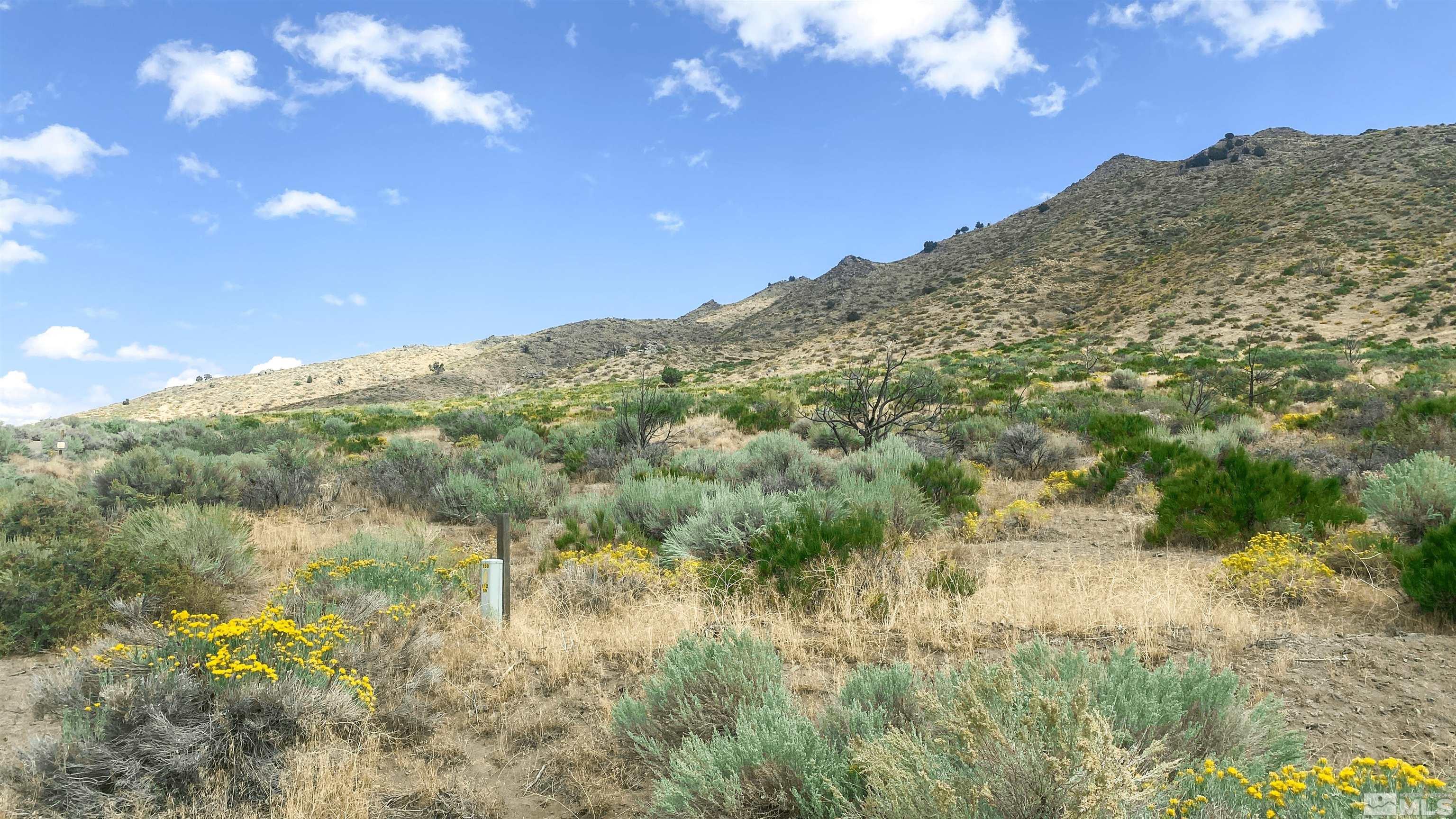 1220 Bullion Hill Road Reno, NV 89508 - Photo 1 of 5 a view of a houses with a mountain in the background