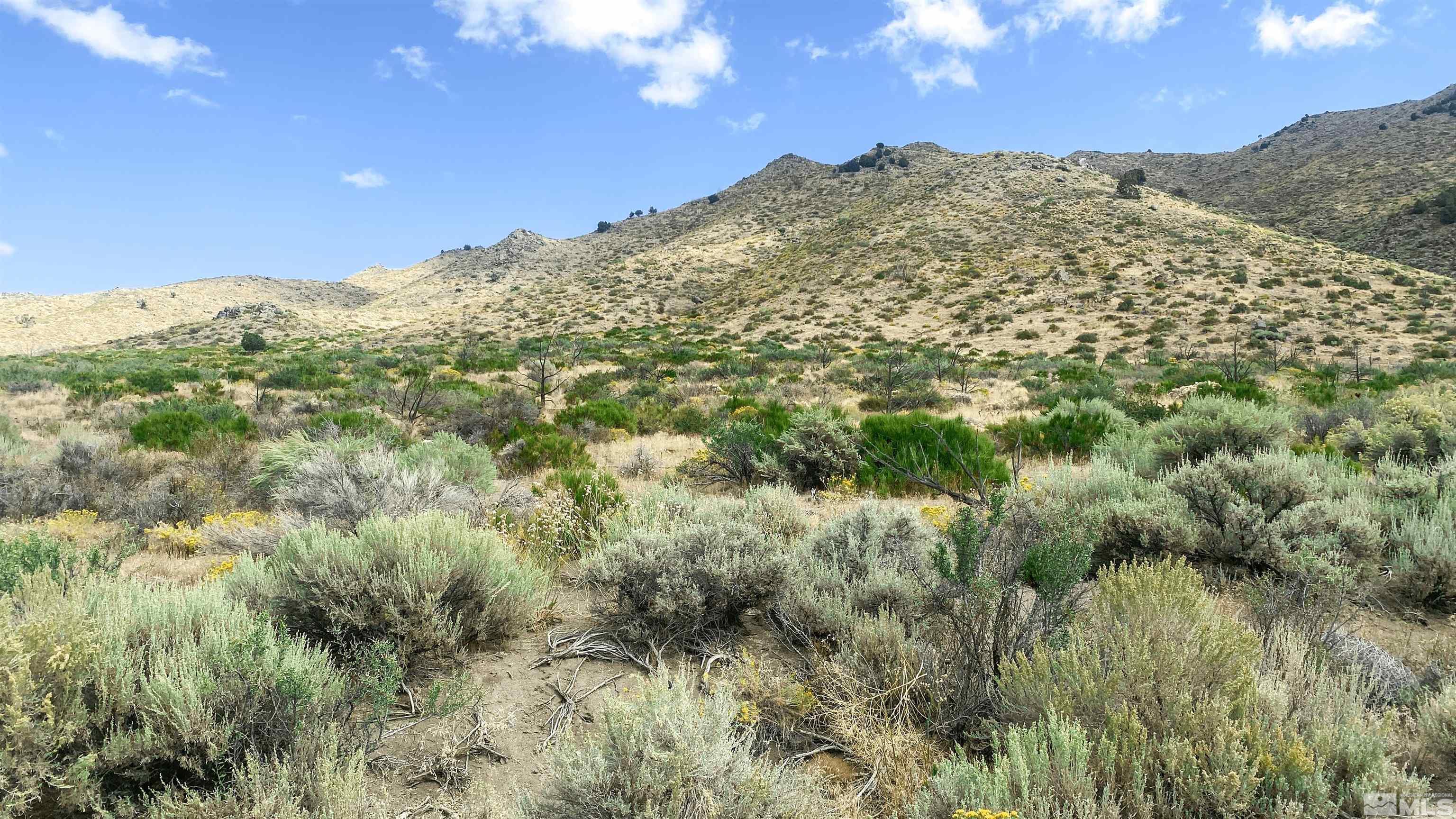 1220 Bullion Hill Road Reno, NV 89508 - Photo 2 of 5 a view of a building
